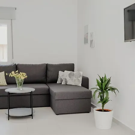 The Olive House Néa Péramos