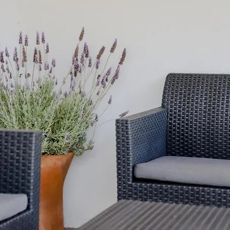 The Olive House Апартаменты