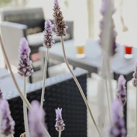 Апартаменты The Olive House Неа-Перамос