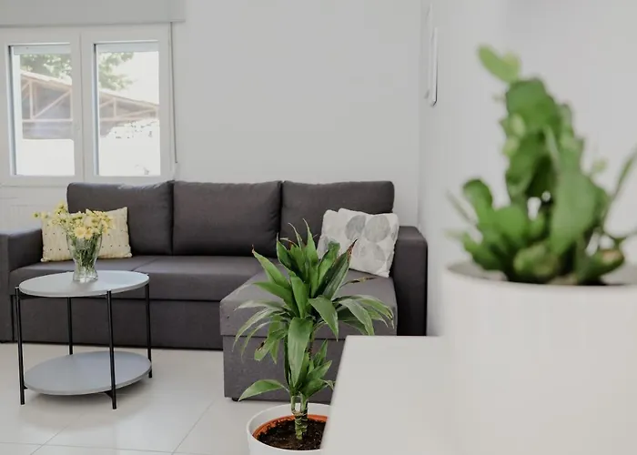 شقة The Olive House