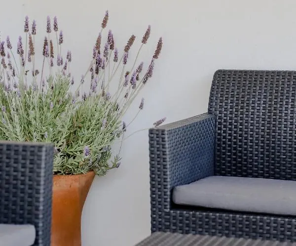 The Olive House Apartamento