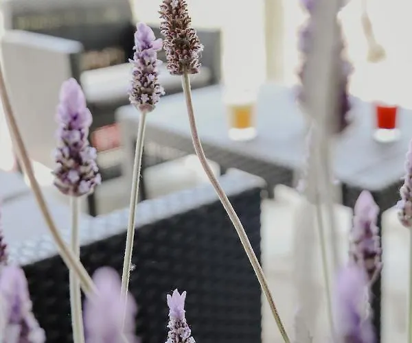 Apartamento The Olive House Néa Péramos